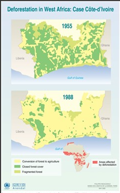 West Africa Deforestation from 1955 to 1988